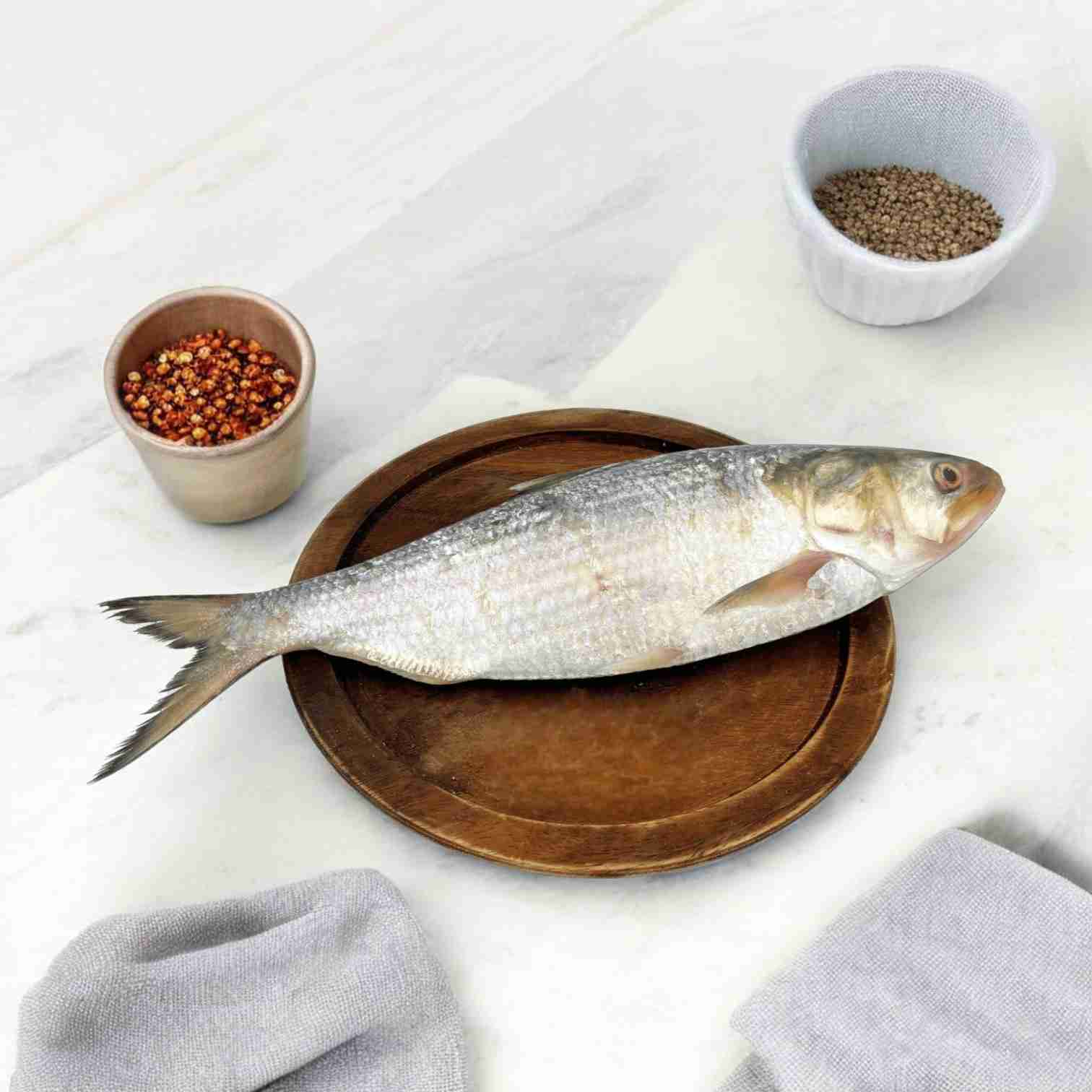 Hilsa Fish (600gm - 700gm) - Whole, Cut, Cleaned